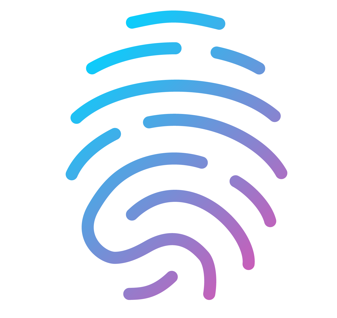 icon showing the personalization that users can achieve in firtual fieldtrips enhancing the geological field trip experience